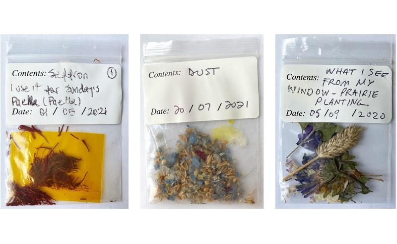 dust, leaves and safron in small plastic sample bags with handwritten labels.