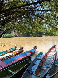 canoes