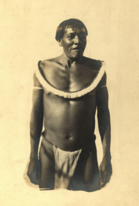Lonk (im Thurn 1893: 196), a “Macusi male; full face; wearing neck/chest decoration and loin cloth” (photo no. 11/618). Im Thurn Collection, The Royal Anthropological Institute