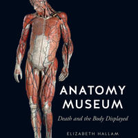 2016 anatomy museum